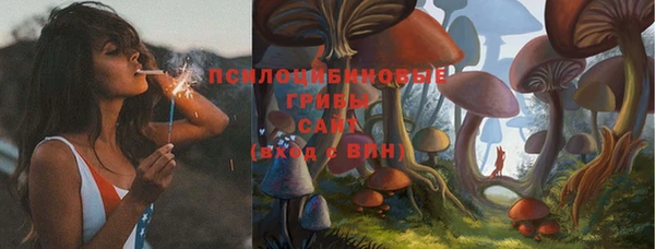 спиды Кулебаки