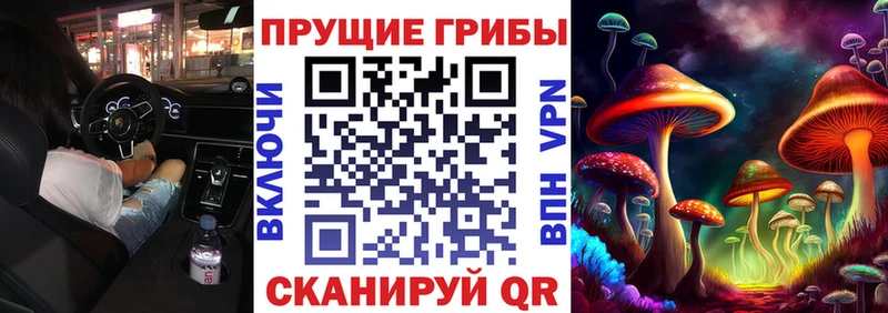 купить наркотик  Екатеринбург  Псилоцибиновые грибы GOLDEN TEACHER 