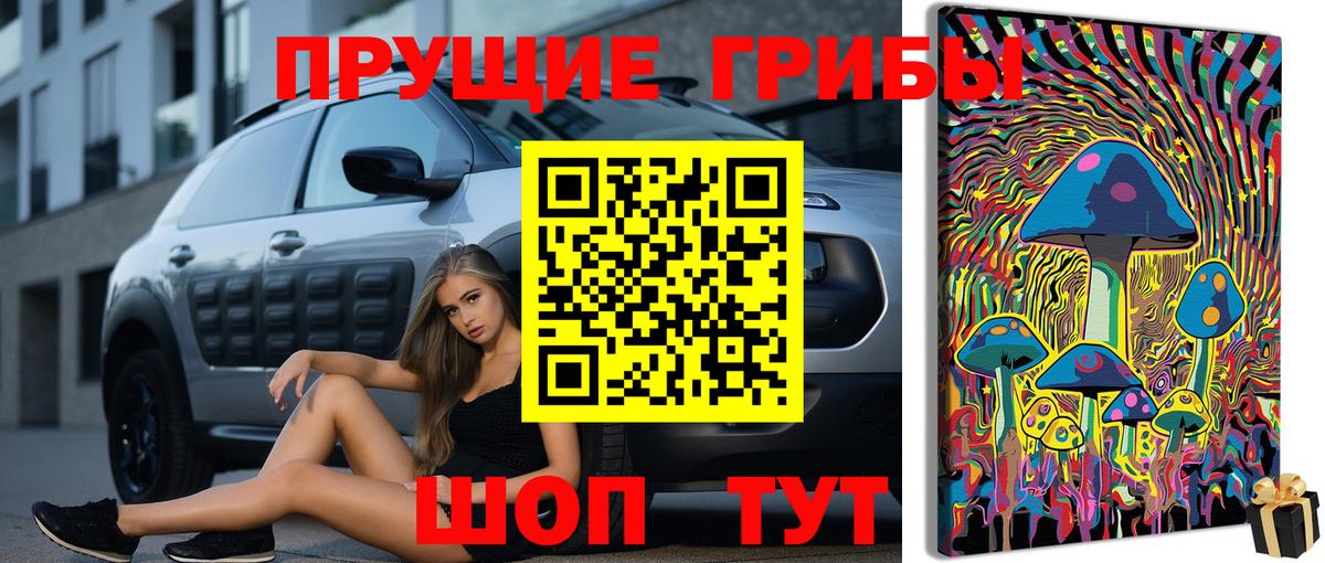 Галлюциногенные грибы Cubensis Екатеринбург