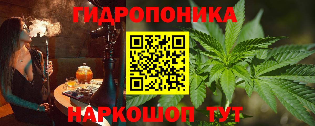Канабис сатива  Екатеринбург  Бошки Шишки Ganja  Шишки марихуана Amnesia 